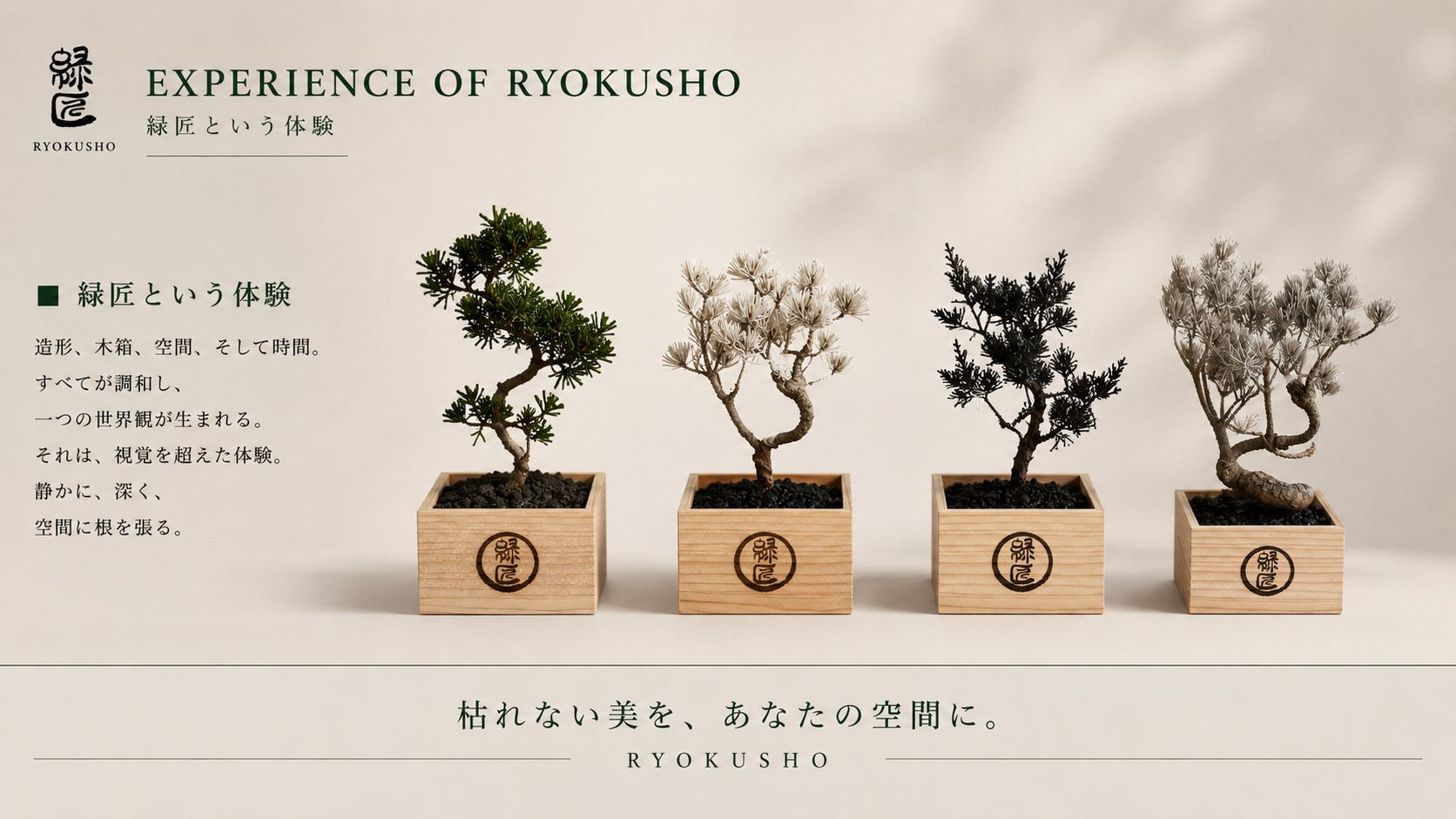 国産杉の木箱に収められた緑匠の盆栽アート — 贈り物として