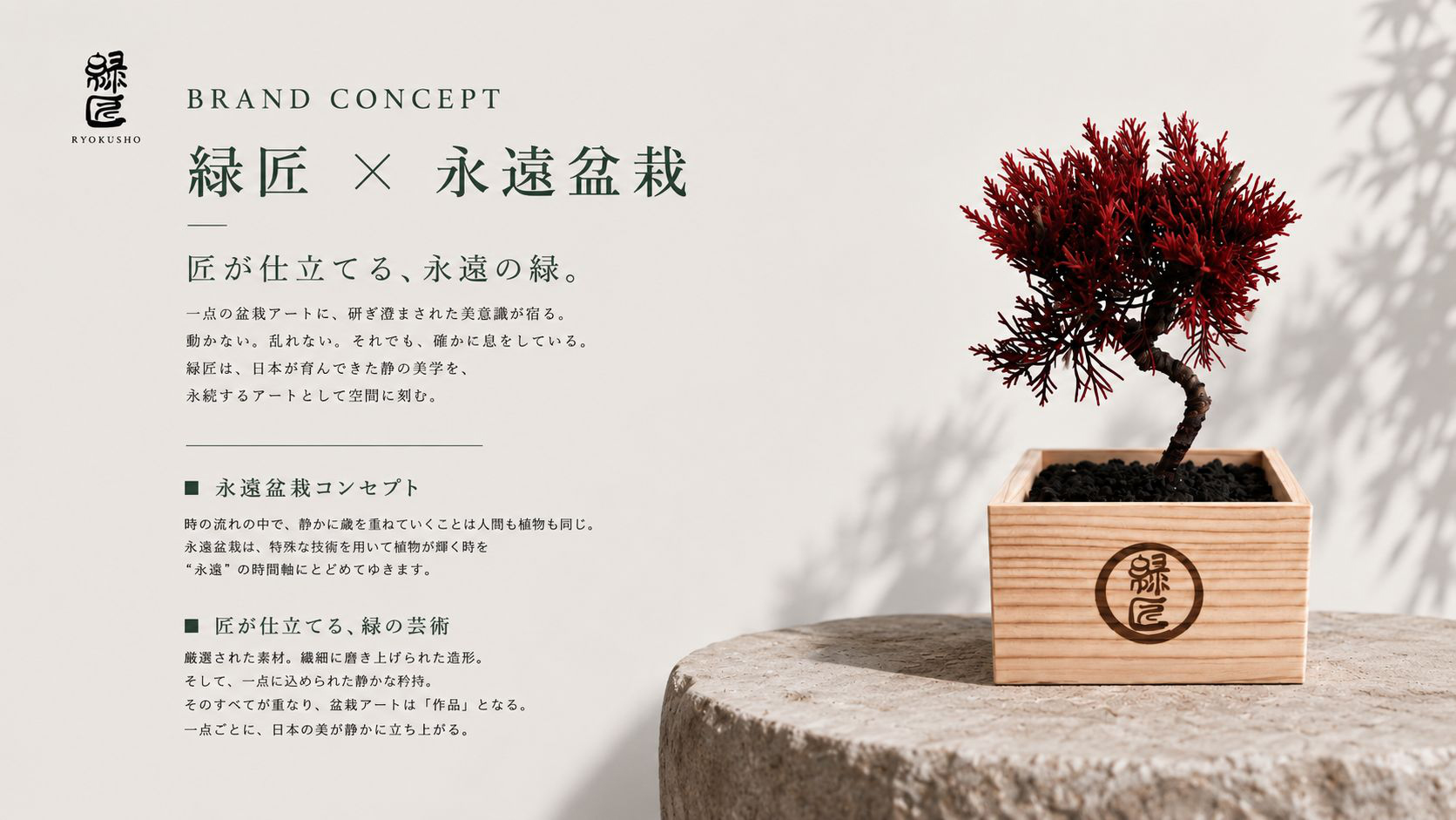 永遠盆栽のコンセプト — 時の流れの中で静かに歳を重ねていくことは人間も植物も同じ